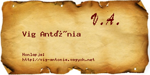 Vig Antónia névjegykártya